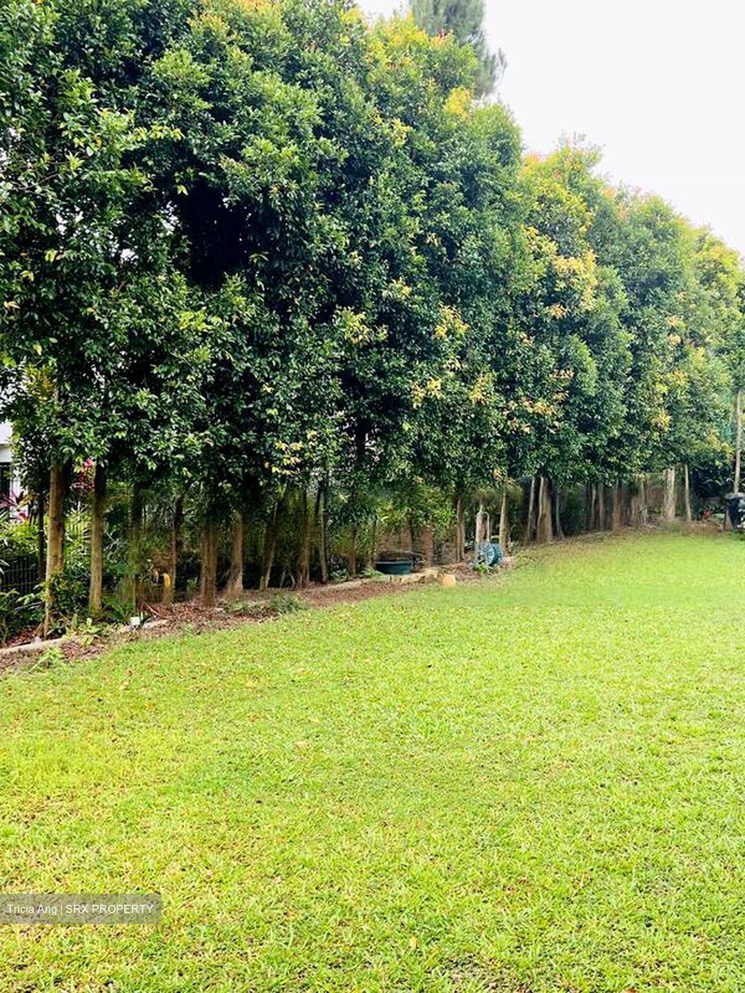 Bin Tong Park (D10), Detached #460160441